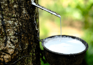 Processing Natural Rubber Processing Natural Rubber